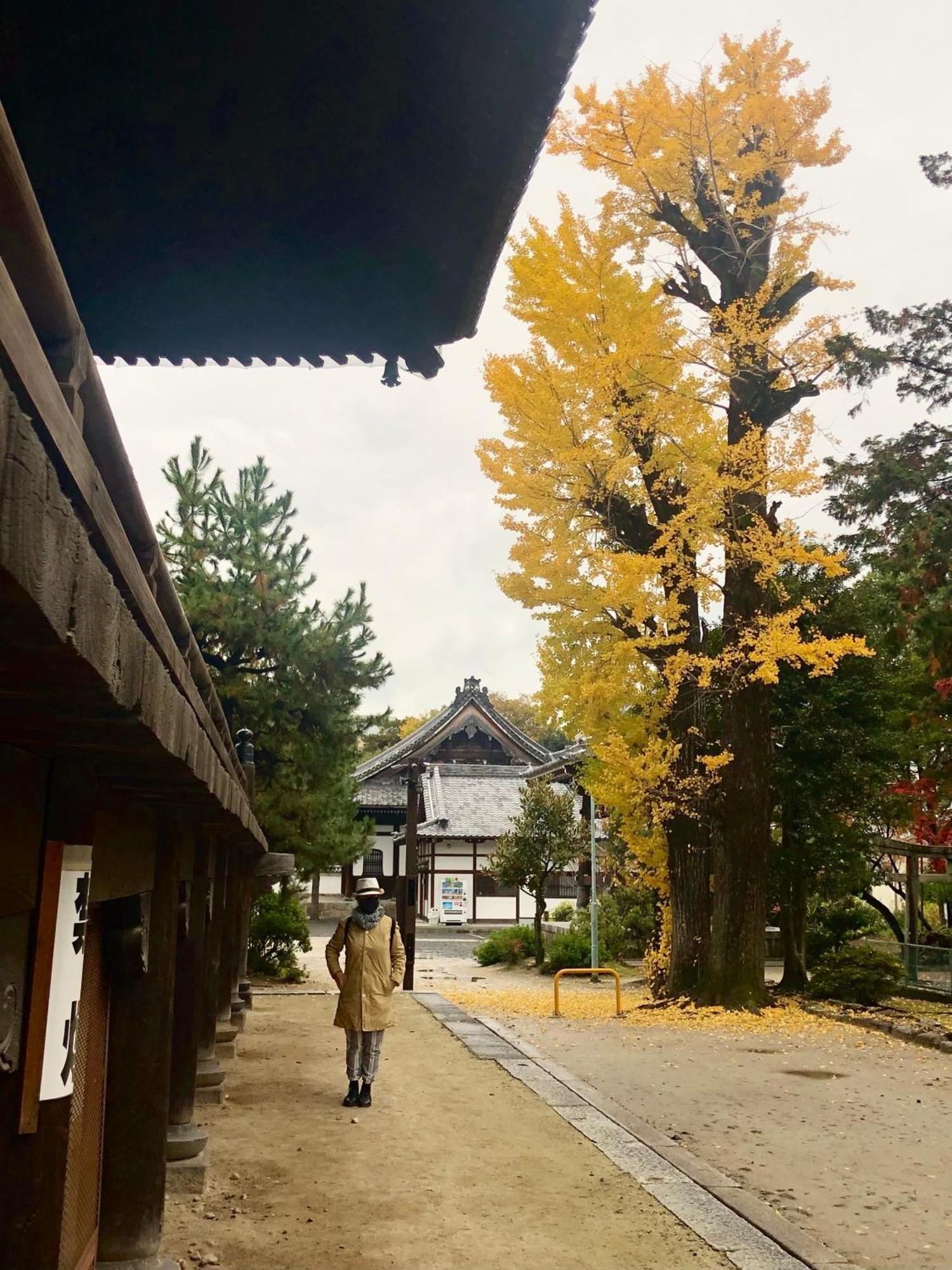 Inari-Home Kyōto Esterno foto