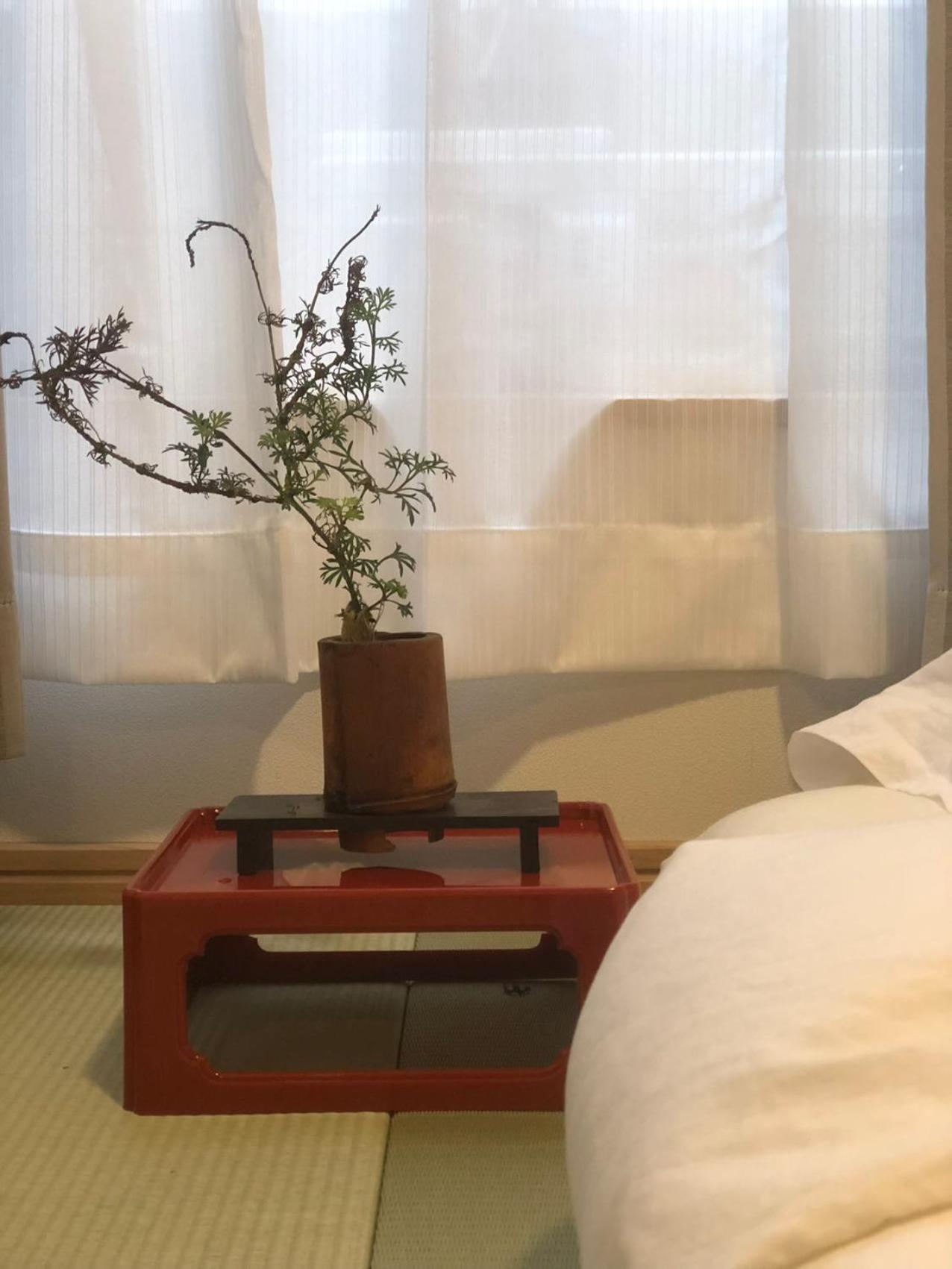 Inari-Home Kyōto Esterno foto